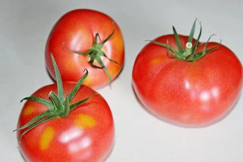 Tomato on a white background Stock Photos