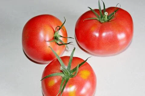 Tomato on a white background Stock Photos