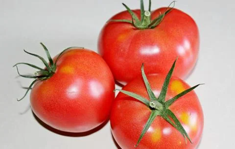 Tomato on a white background Stock Photos