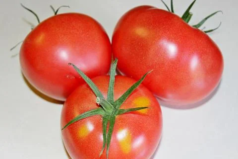 Tomato on a white background Stock Photos