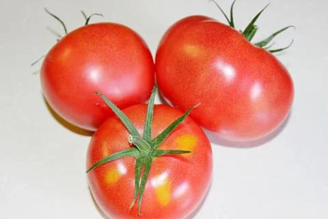 Tomato on a white background Stock Photos