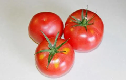 Tomato on a white background Stock Photos