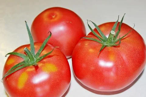 Tomato on a white background Stock Photos