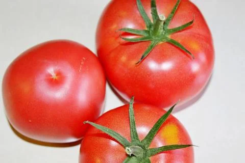 Tomato on a white background Stock Photos