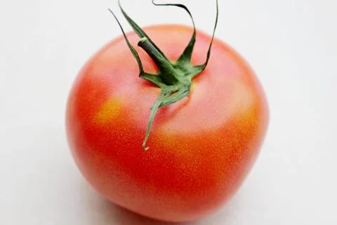 Tomato on a white background Stock Photos