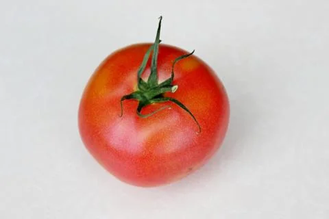 Tomato on a white background Stock Photos