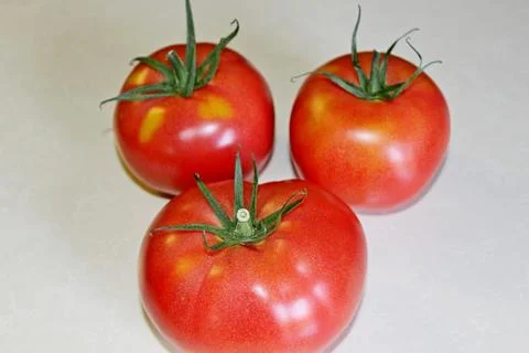 Tomato on a white background Stock Photos