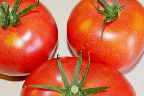 Tomato on a white background Stock Photos