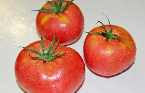 Tomato on a white background Stock Photos