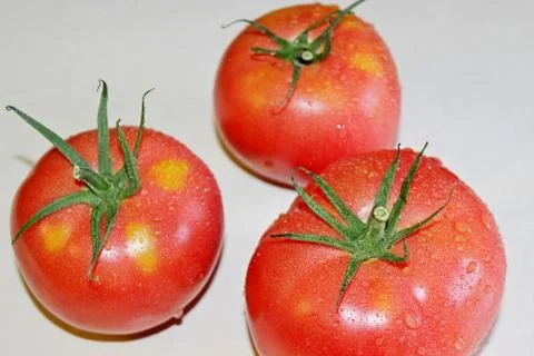 Tomato on a white background Stock Photos