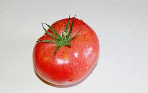 Tomato on a white background Stock Photos