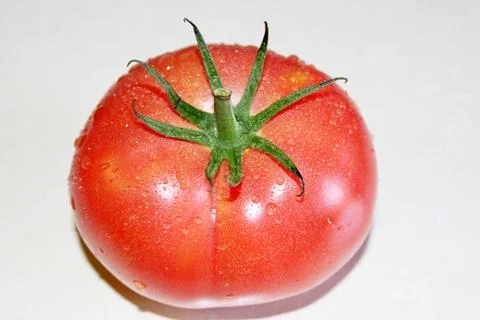 Tomato on a white background Stock Photos