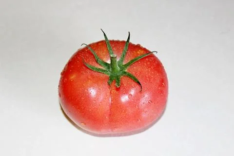 Tomato on a white background Stock Photos