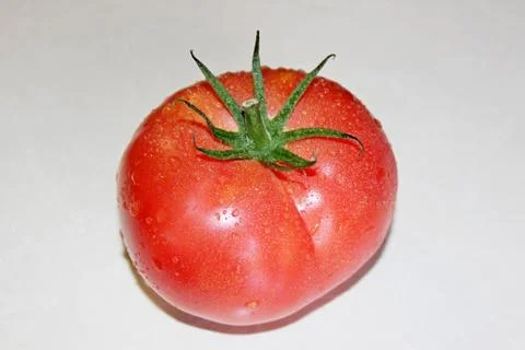 Tomato on a white background Stock Photos