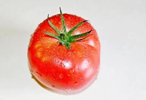 Tomato on a white background Stock Photos