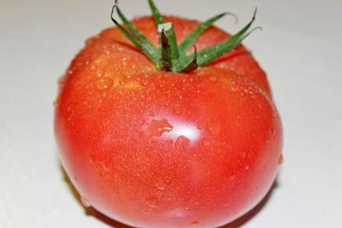 Tomato on a white background Stock Photos