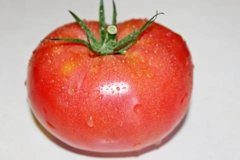 Tomato on a white background Stock Photos