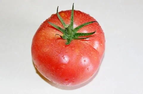Tomato on a white background Stock Photos