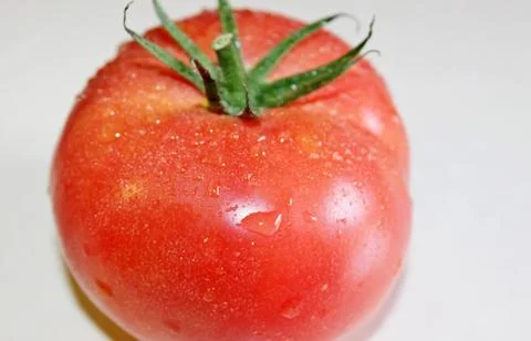 Tomato on a white background Stock Photos