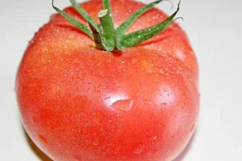 Tomato on a white background Stock Photos