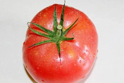 Tomato on a white background Stock Photos