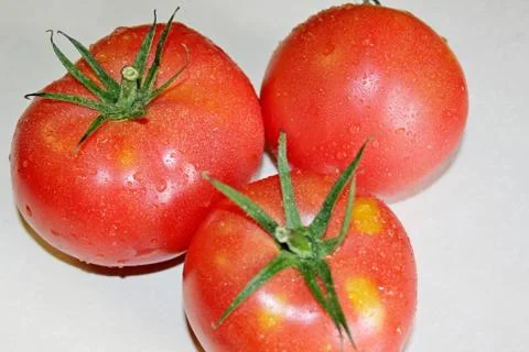 Tomato on a white background Stock Photos