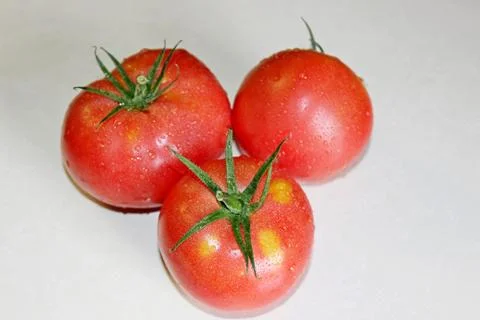 Tomato on a white background Stock Photos