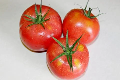 Tomato on a white background Stock Photos