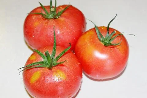 Tomato on a white background Stock Photos