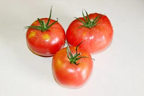 Tomato on a white background Stock Photos