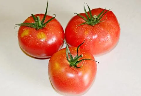Tomato on a white background Stock Photos