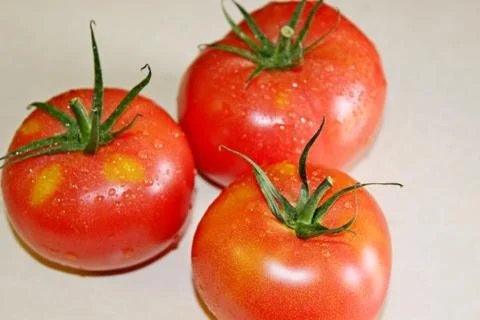 Tomato on a white background Stock Photos