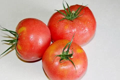 Tomato on a white background Stock Photos