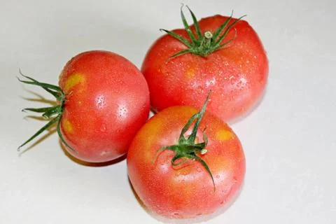 Tomato on a white background Stock Photos