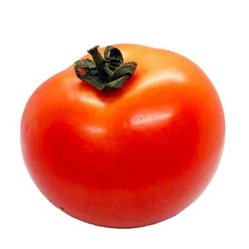 Tomato on white background Stock Photos