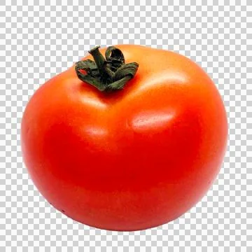 Tomato on white background Stock Photos