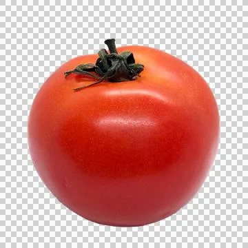 Tomato on white background Stock Photos