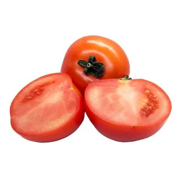 Tomato on white background Stock Photos