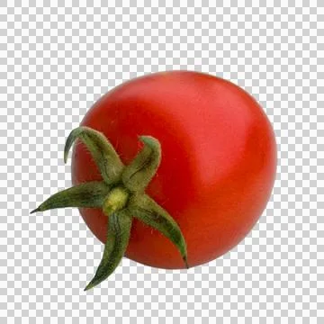 Tomato  on white background Fotos Stock