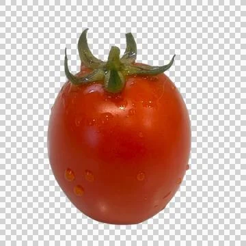 Tomato  on white background Fotos de archivo