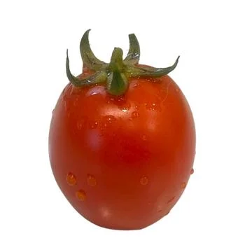 Tomato  on white background Fotos de archivo