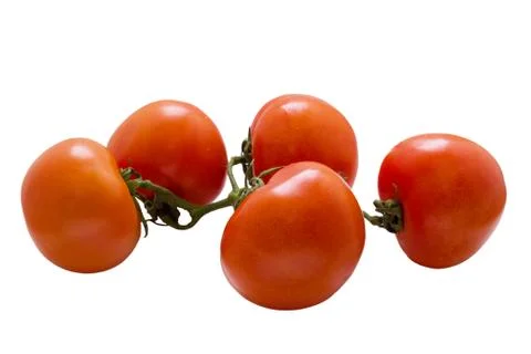 Tomato on white . Stock Photos