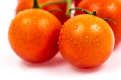 Tomato on white Stock Photos
