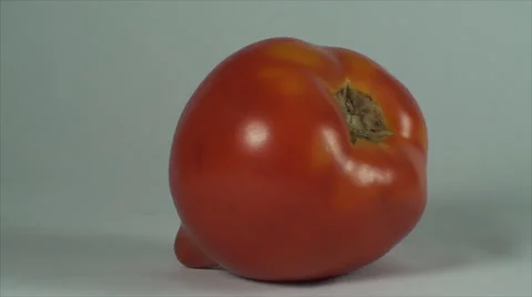 Tomato On A White Surface, Isolated, Bio, Organic, Cuisine, Pan Stock Footage 40617029