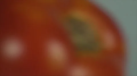 Tomato On A White Surface, Isolated, Bio, Organic, Cuisine, Zoom Out Stock Footage 40617052