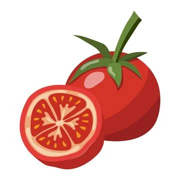 The tomato is whole and half. vector illustration on a white background Stock Illustration