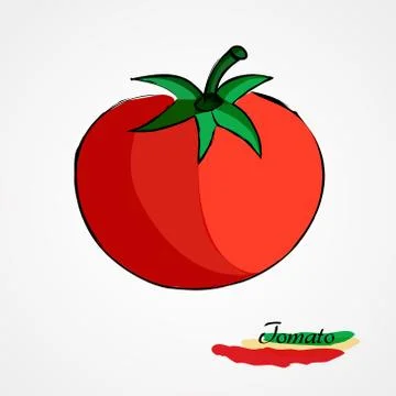 Tomato whole Illustrazione stock