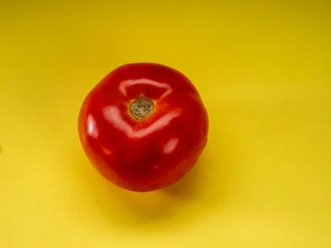 Tomato with yellow background Stock Photos