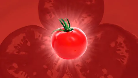 Tomato on a yellow background. Rays of light. Stock Footage 217007382