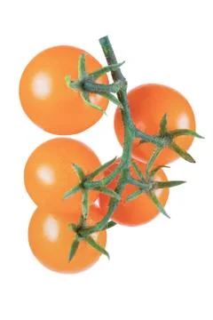 Tomato yellow, bunch isolate on a white background closeup. Stock Photos